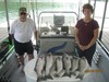 (06/30/2014) - Nice Striped Bass